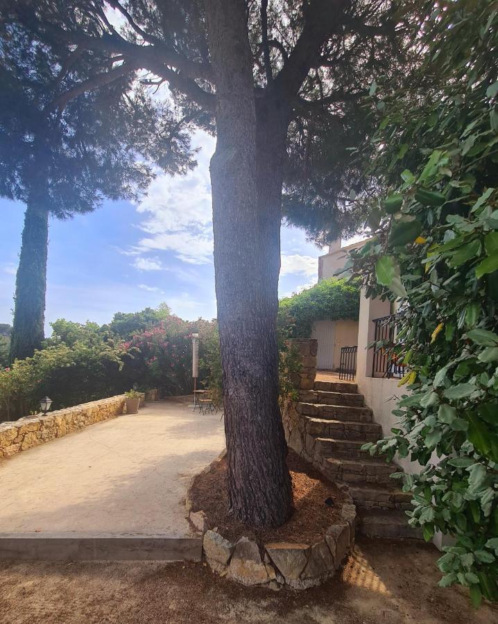 Superbe Villa-Domaine Avec Golf Piscine Et Tennis 滨海圣西尔 外观 照片